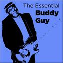 The Essential Buddy Guy专辑