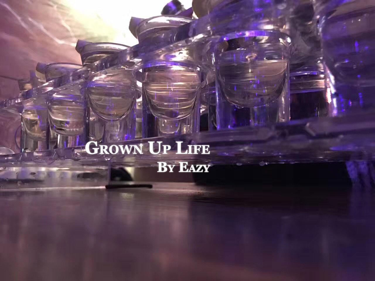 Grown Up Life专辑