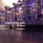 Grown Up Life专辑