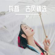 臣妾告退（抖音版）（翻自 周林枫）