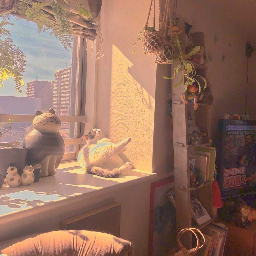 窗外