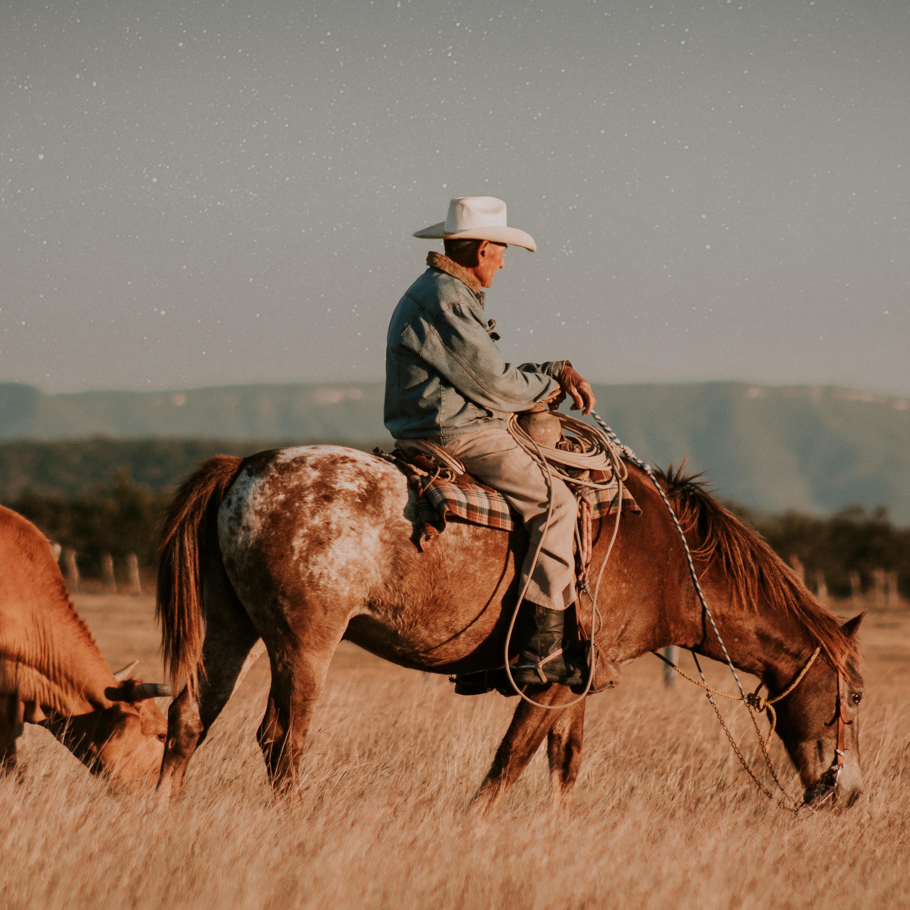 Cowboy