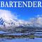 Bartender - Tribute to James Blunt专辑