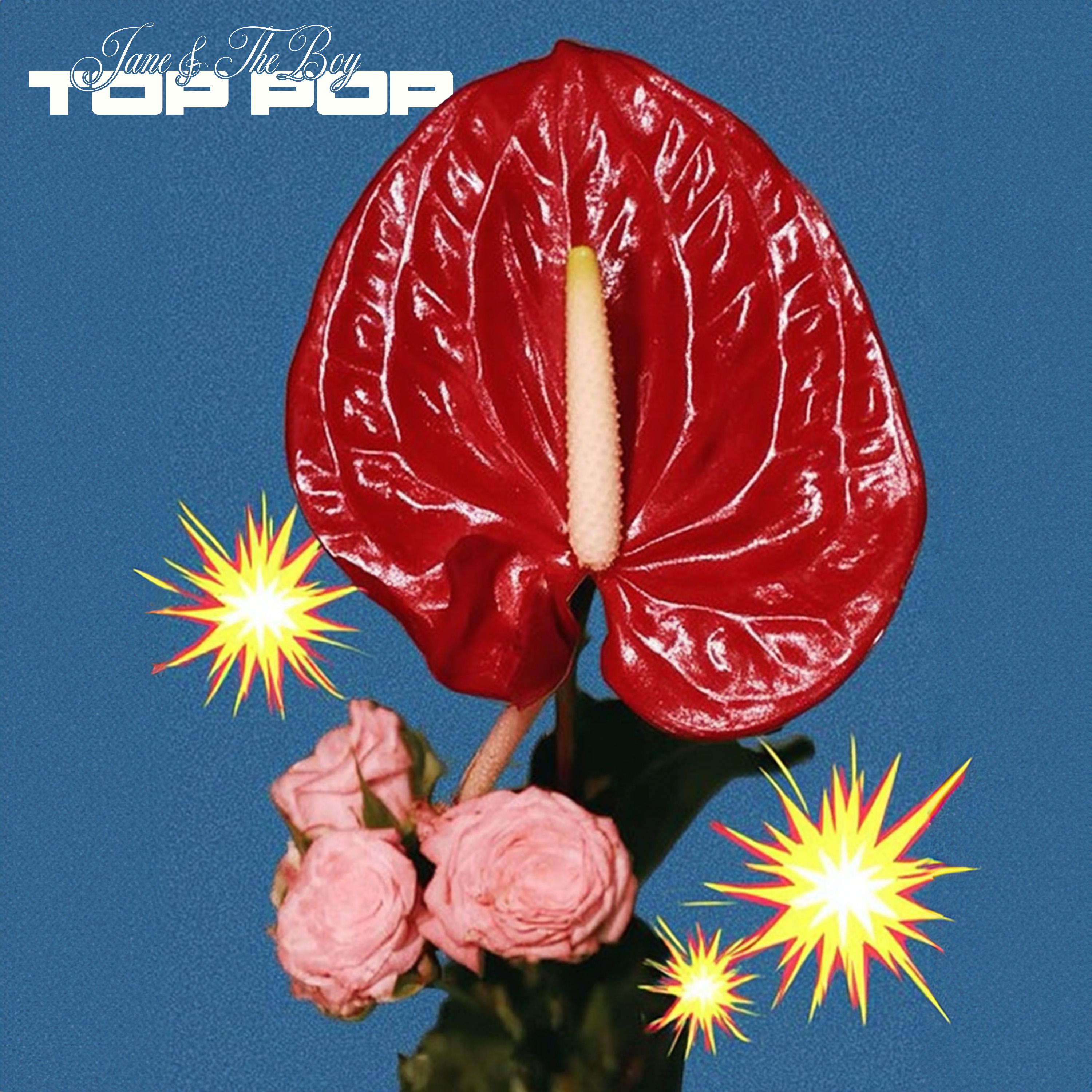 TOP POP