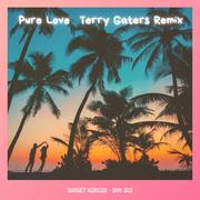 Pure Love (Terry Gaters Remix Radio Edit)