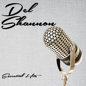 Answer to Everything - Del Shannon (PM karaoke) 带和声伴奏 （降2半音）