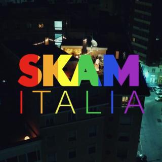 意大利版SKAM第二季|SKAM ITALIA S2|意版