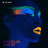 Amor De Mujer - Camilo Sesto (SC karaoke) 带和声伴奏