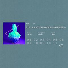 B12 - HALL OF MIRRORS