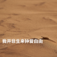 我并非生来钟爱自由