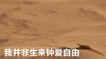 我并非生来钟爱自由专辑