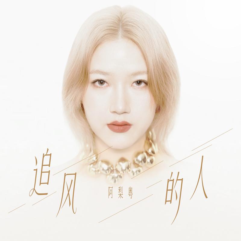 追风的人