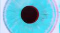 Blue Eyes专辑