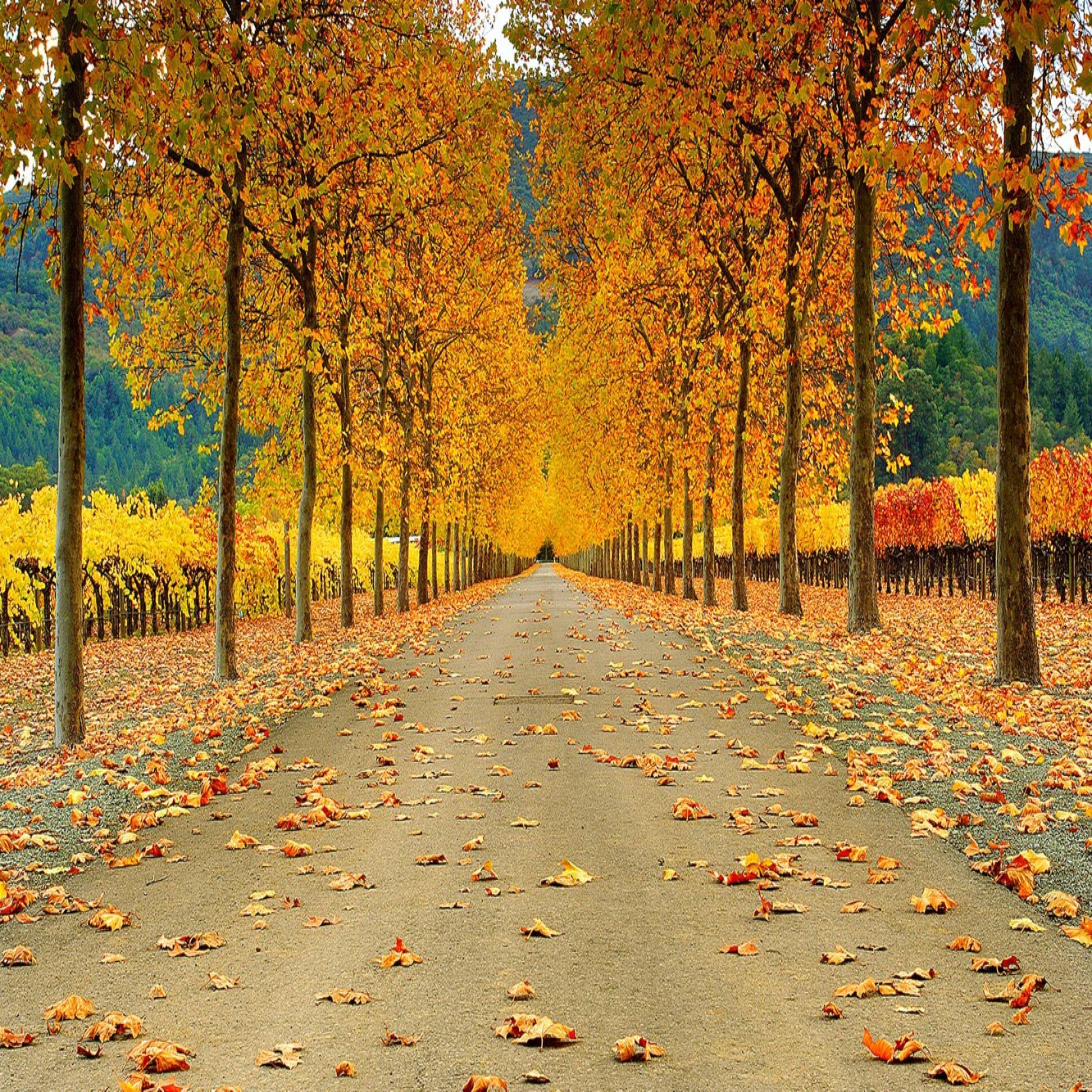 Алтын яфрак