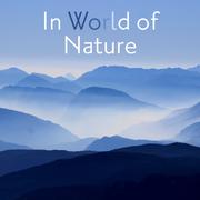 In World of Nature – Calm Meditation, Relaxing Music to Rest, Soothing Sounds, Singing Birds, Pure W