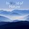 In World of Nature – Calm Meditation, Relaxing Music to Rest, Soothing Sounds, Singing Birds, Pure W专辑