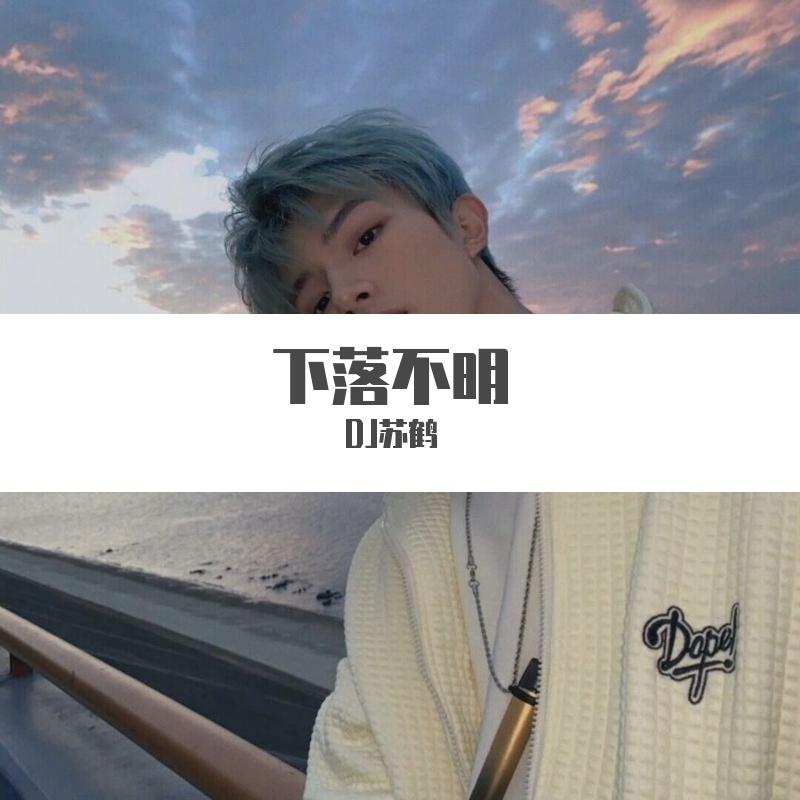 艾辰-谁与归（DJ原版）（DJ苏鹤 remix）