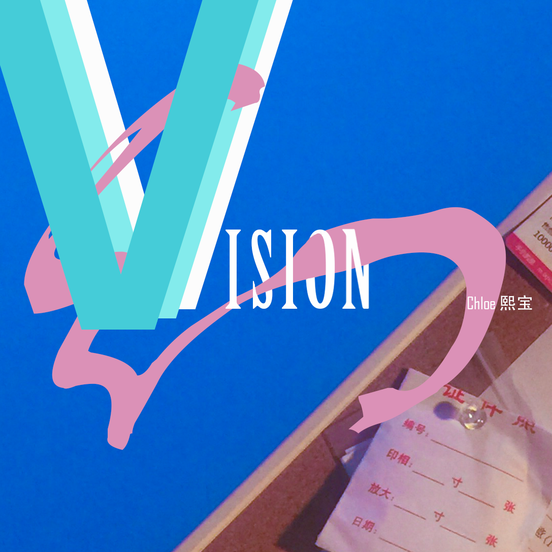 Vision专辑