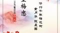 红尘梅恋专辑