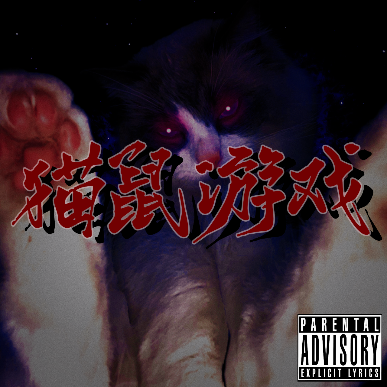 猫鼠游戏