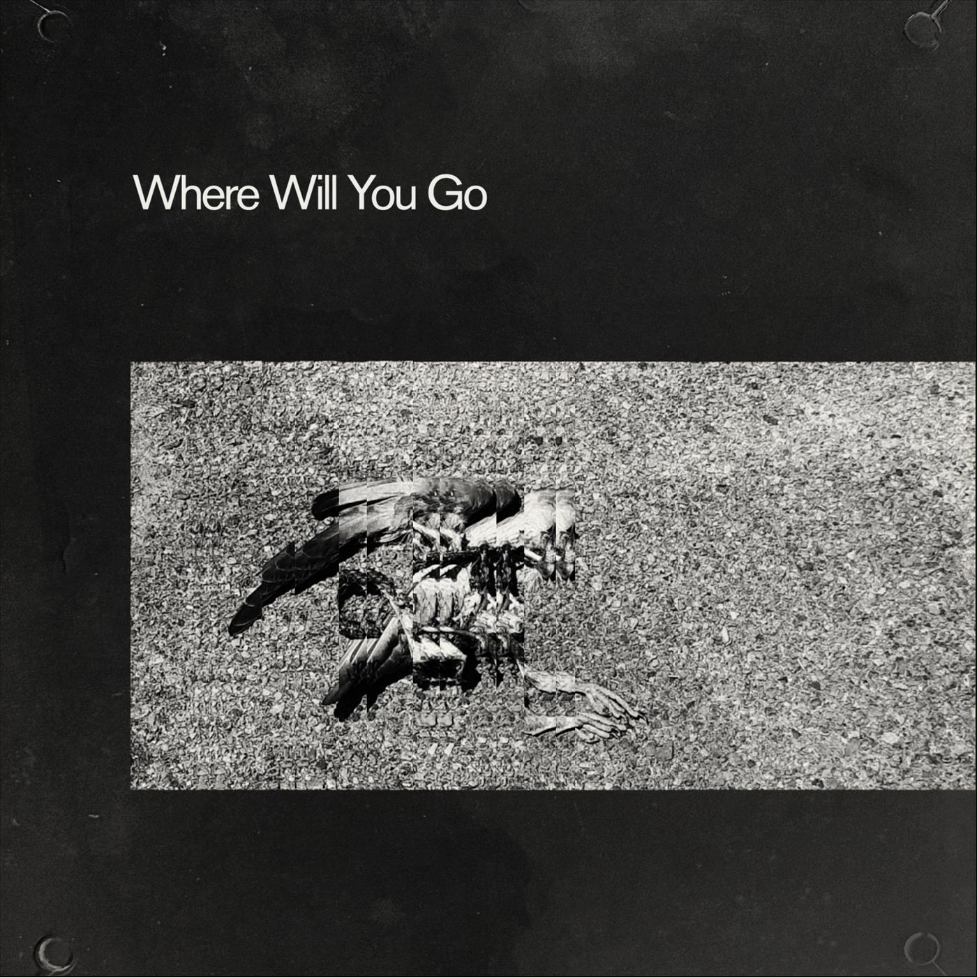 Where Will You Go