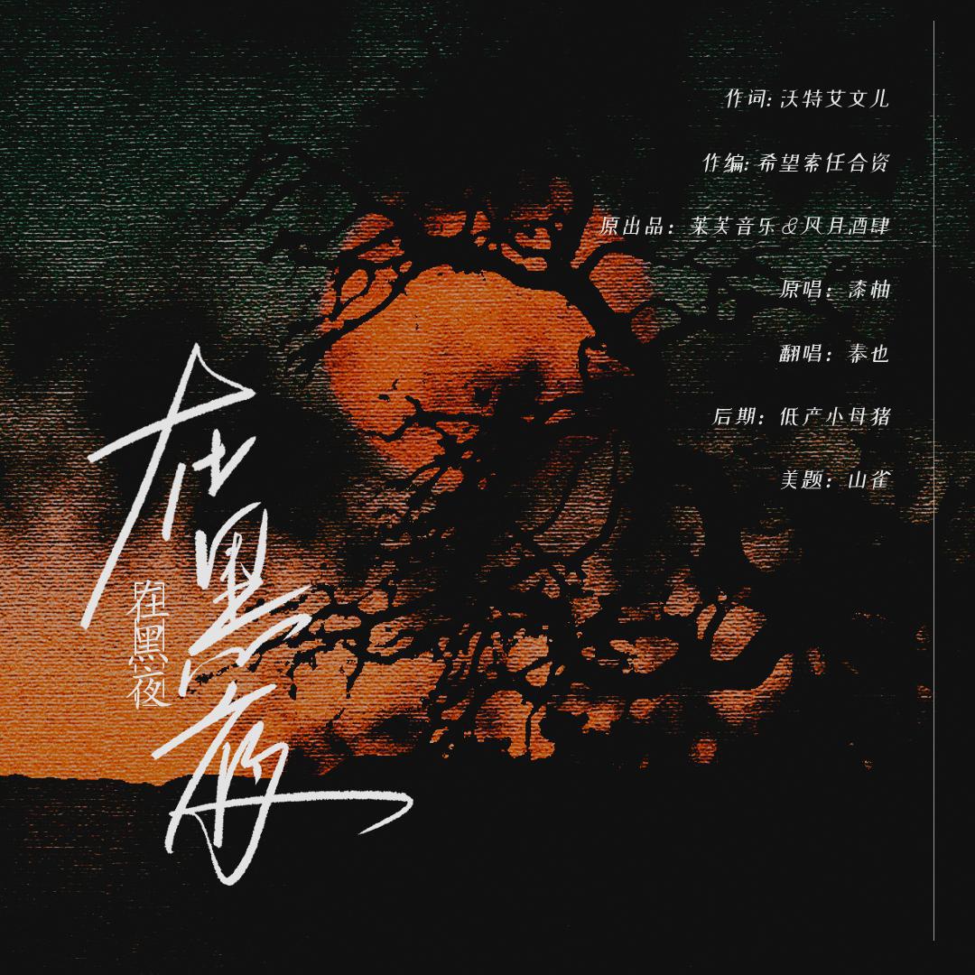 在黑夜，在黑夜