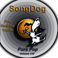Woo Hoo - The 5.6.7.8's (Karaoke Version) 带和声伴奏