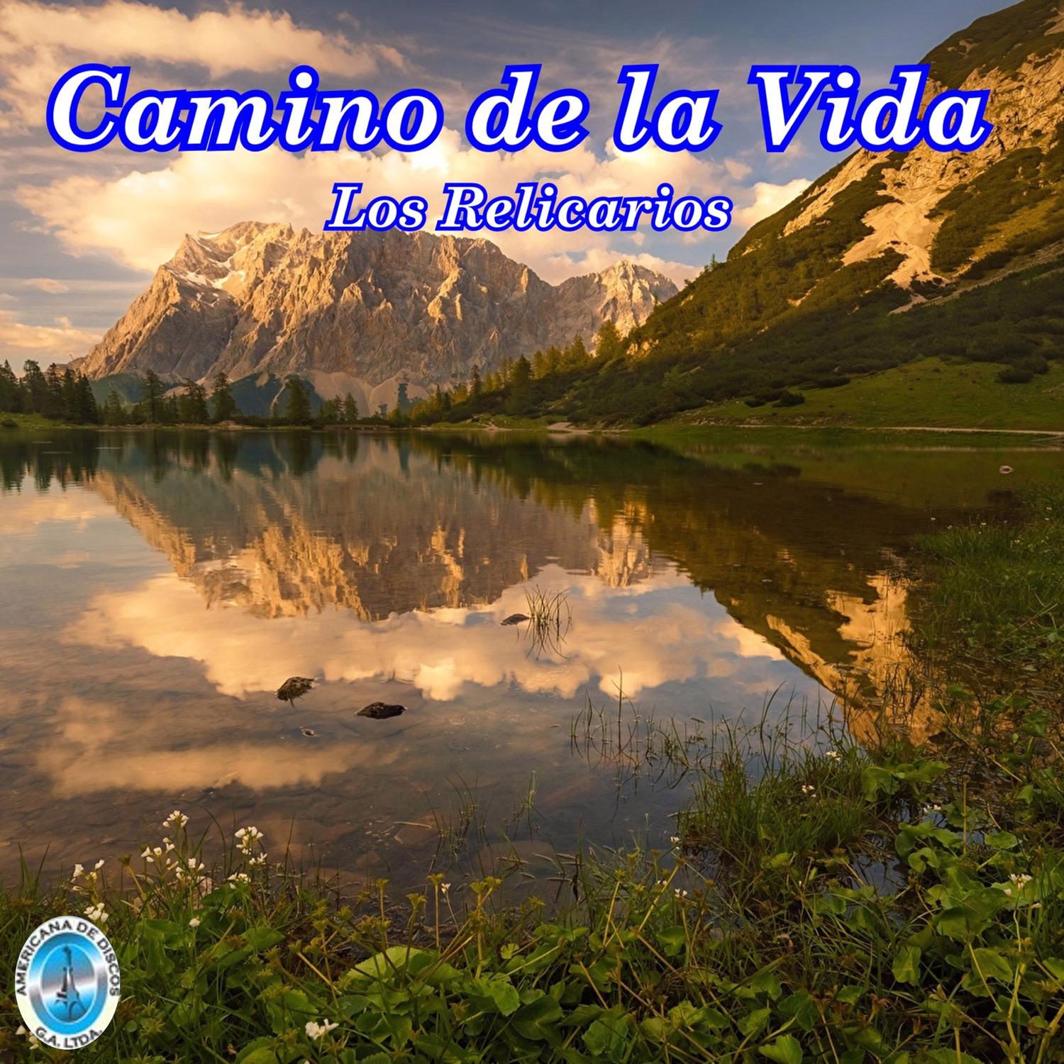 Camino de la Vida