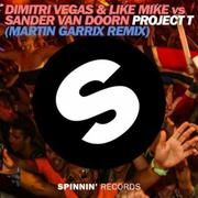 Project T (Martin Garrix Remix)