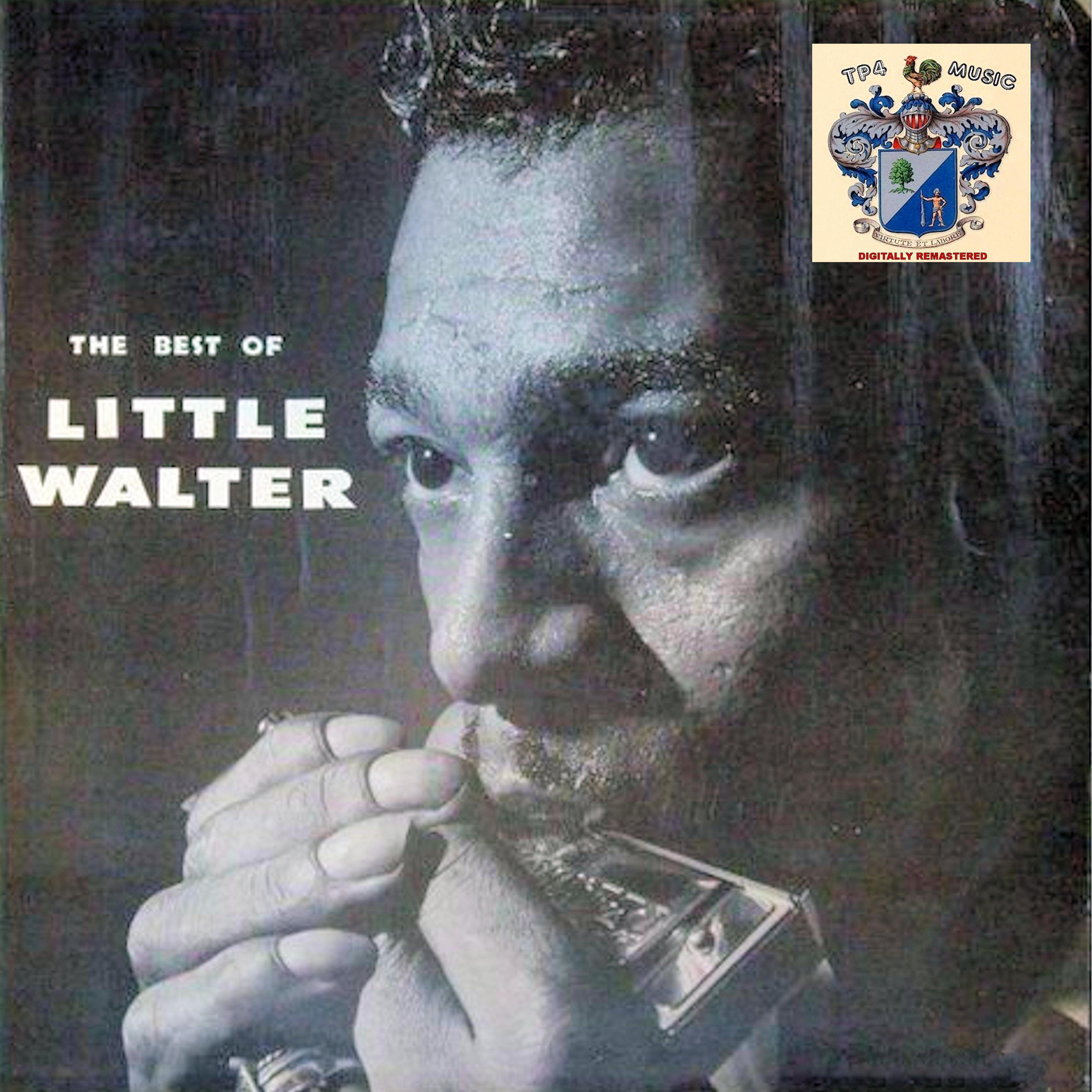 The Best of Little Walter