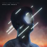 Problems (Shallou Remix)专辑