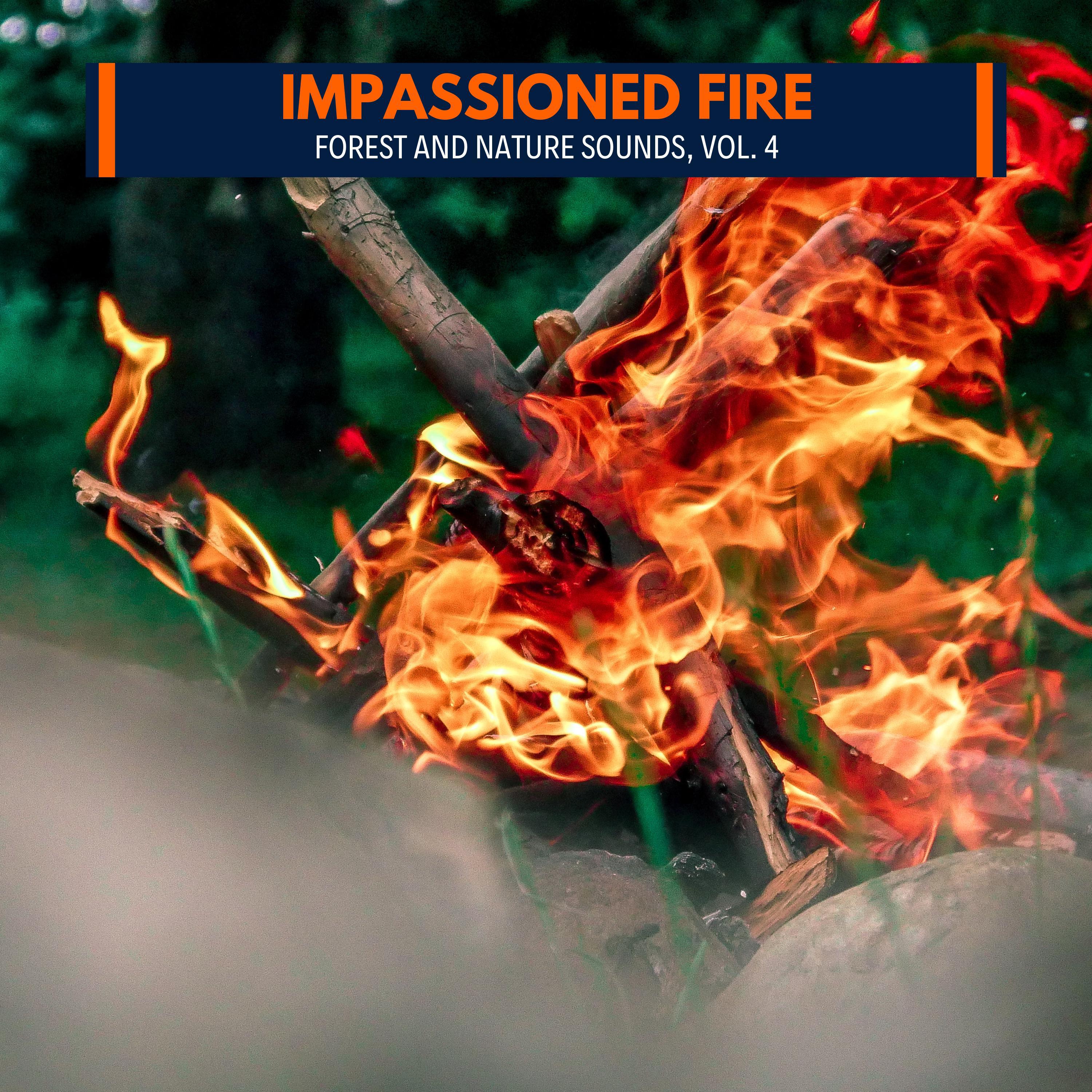 Healing Firespace Nature Music - Stress Reduction with Fire Sound