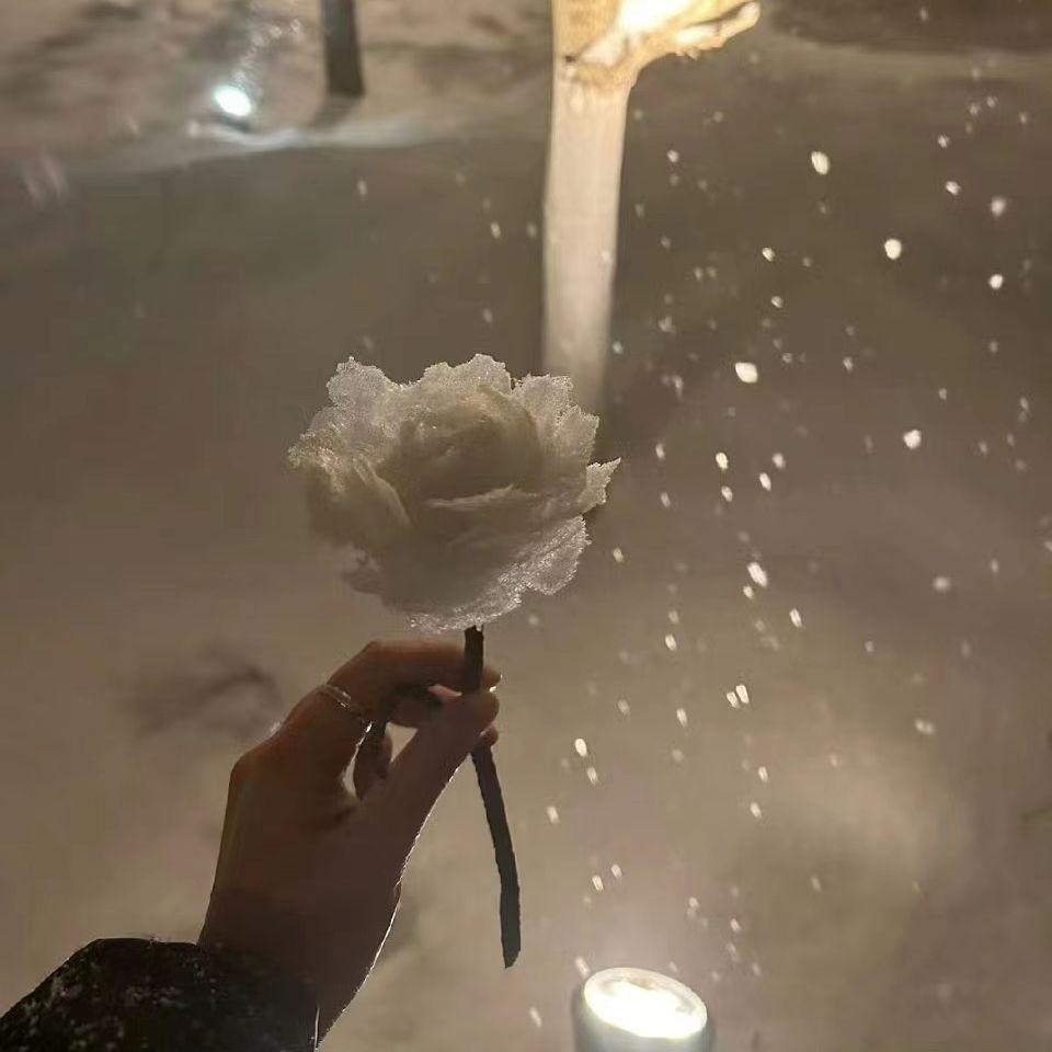 阿拉斯加海湾