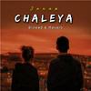 Robi - Chaleya (Slowed and Reverb)