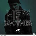 Hey Brother (Remixes)专辑