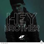 Hey Brother (Remixes)专辑