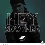 Hey Brother (Remixes)