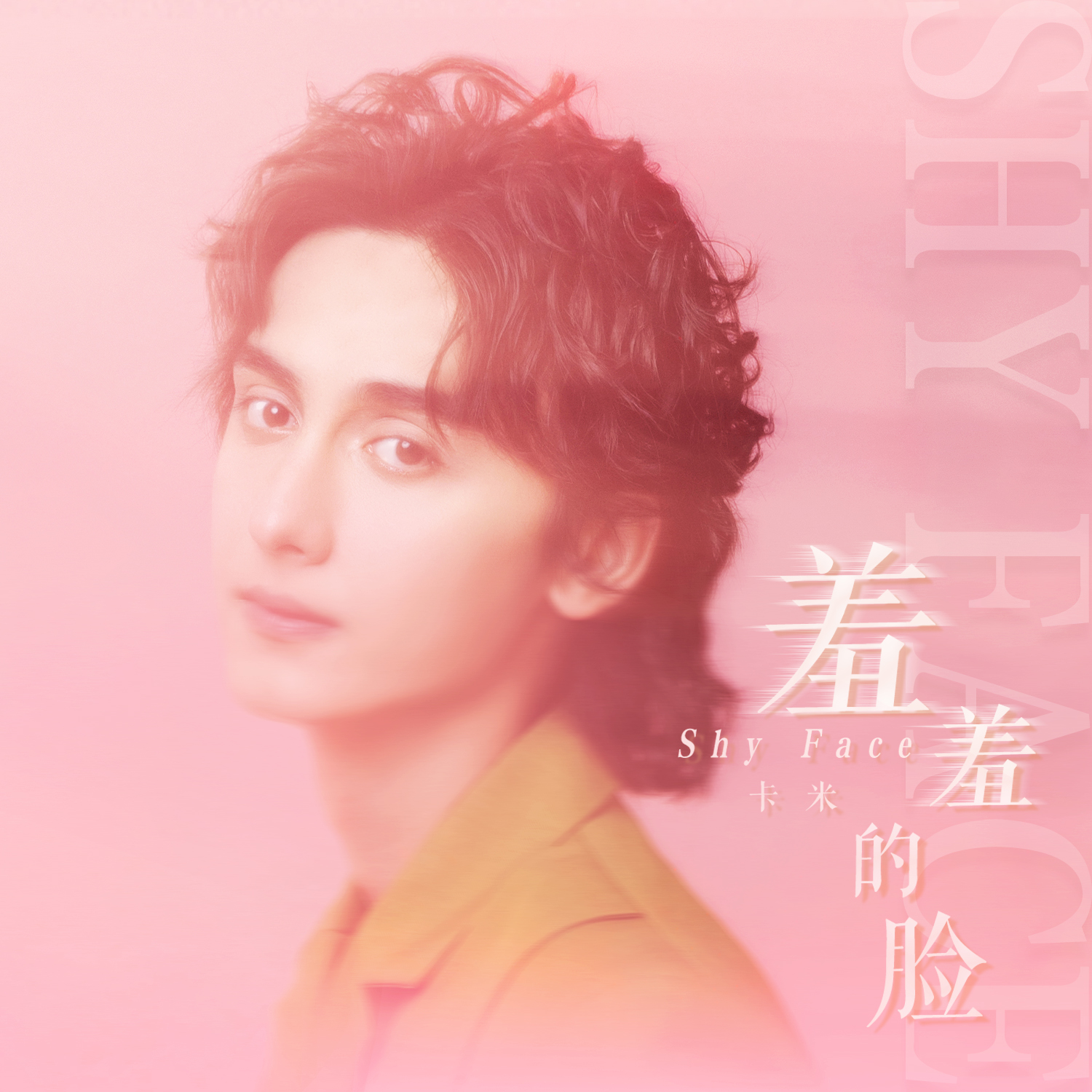 羞羞的脸
