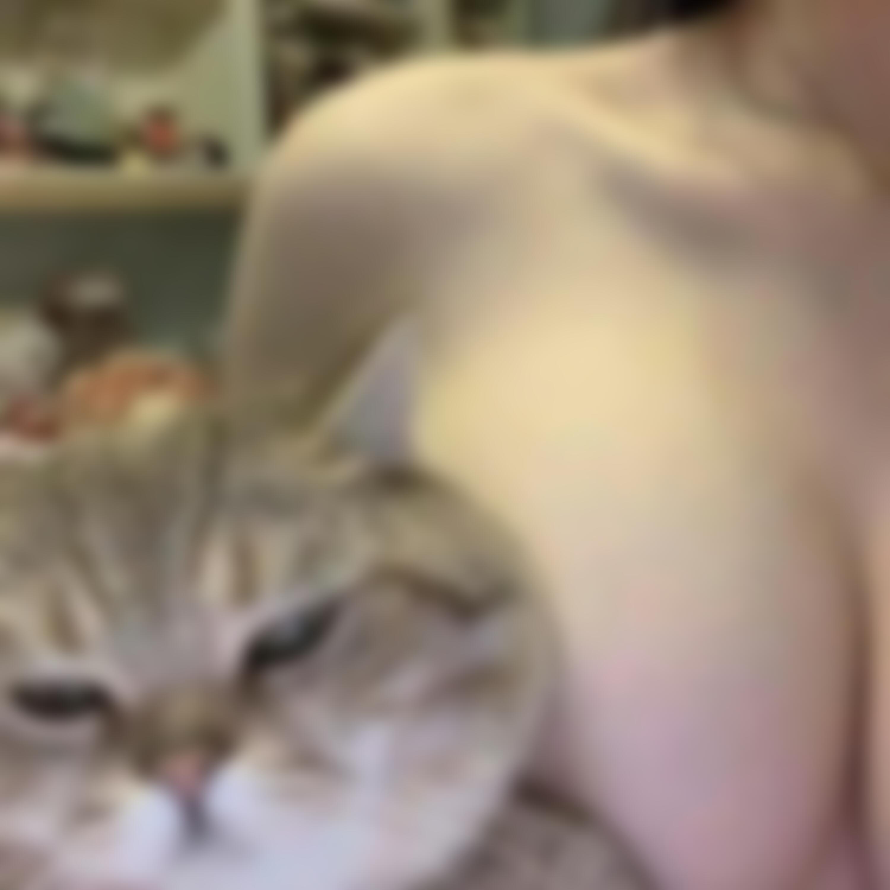 stick n poke (feat. hoshie star & neioxo)