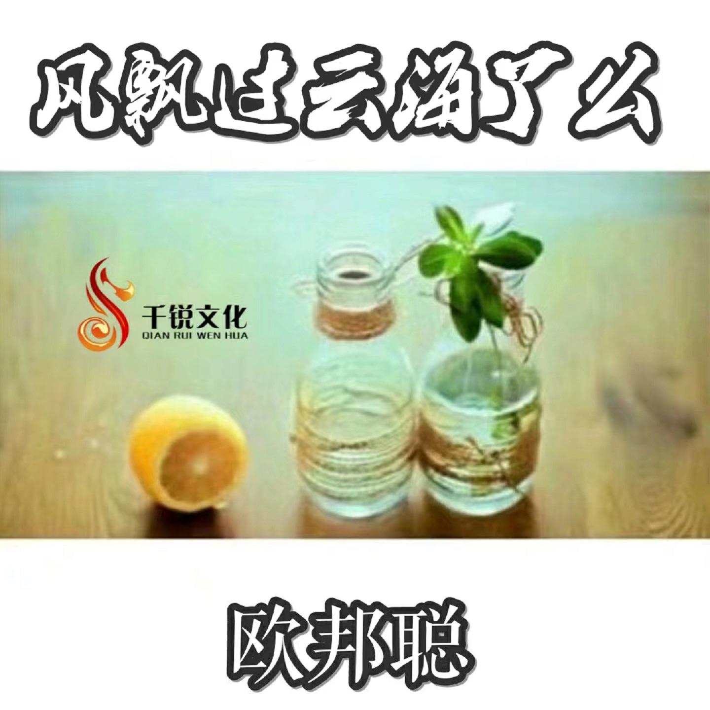风飘过云海了么
