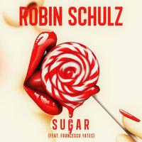 Sugar - Robin Schulz Feat. Francesco Yates (unofficial Instrumental) 无和声伴奏