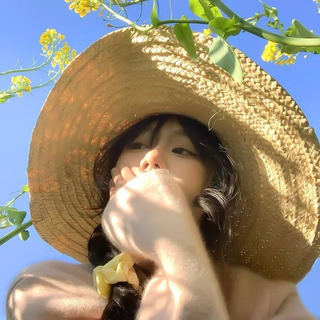 纯音漫游：在旋律里找到一片空地