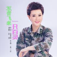 叶翠 - 军营飞来一只百灵(原版立体声伴奏)