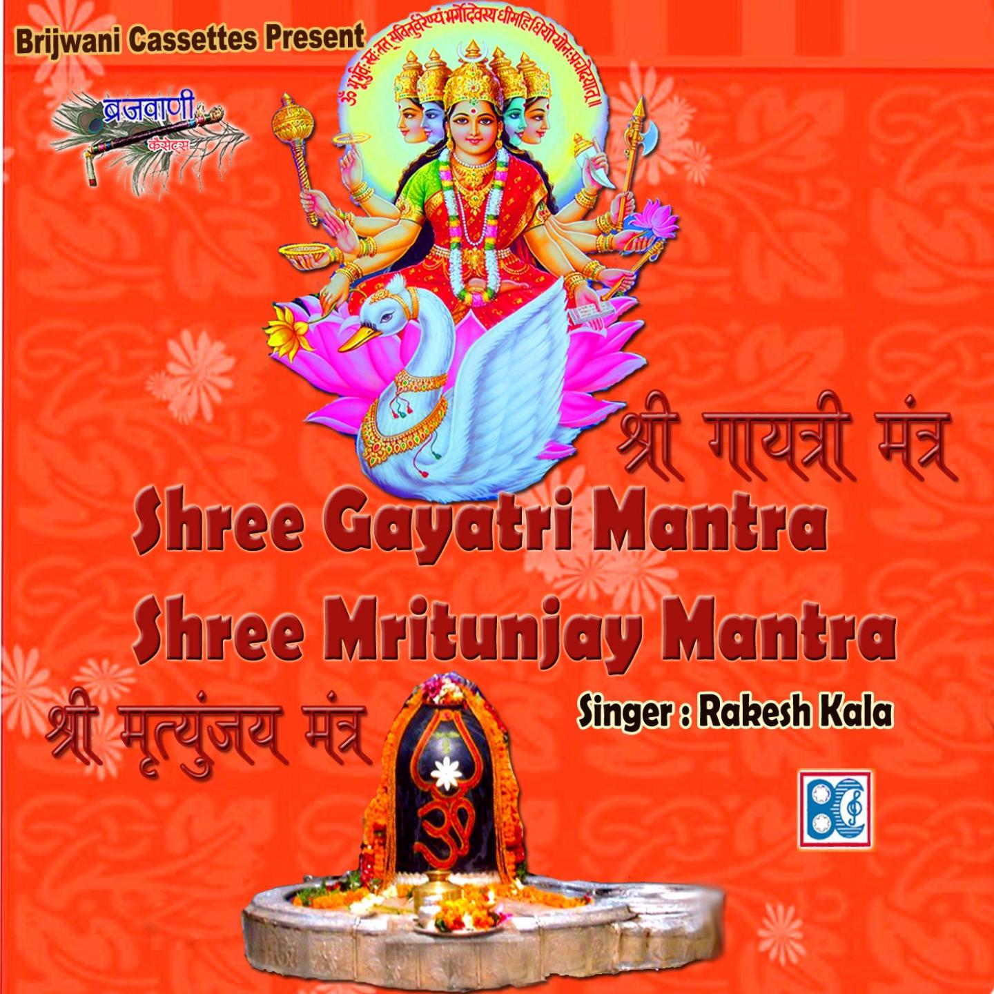 Shree Gayatri Mantra Shree Mritunjay Mantra专辑