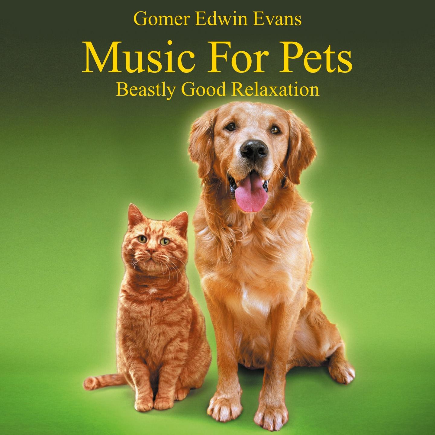 Music for Pets: Beastly Good Relaxation专辑