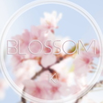 BLOSSOM专辑