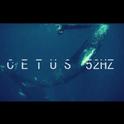 鲲乐队（CETUS 52HZ）