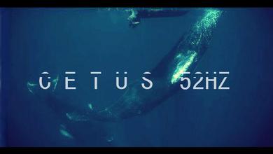 鲲乐队（CETUS 52HZ）