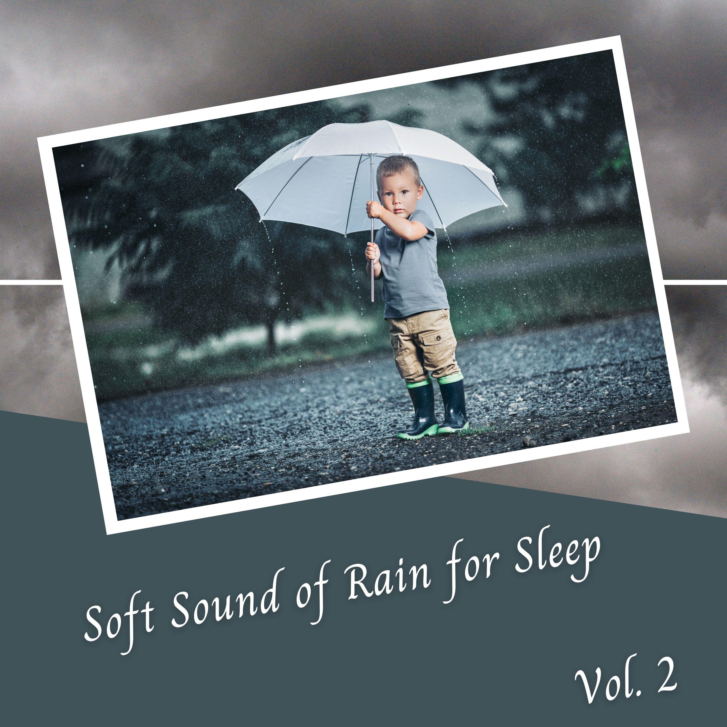 Soft Sound of Rain for Sleep Vol. 2 - 2 Hours