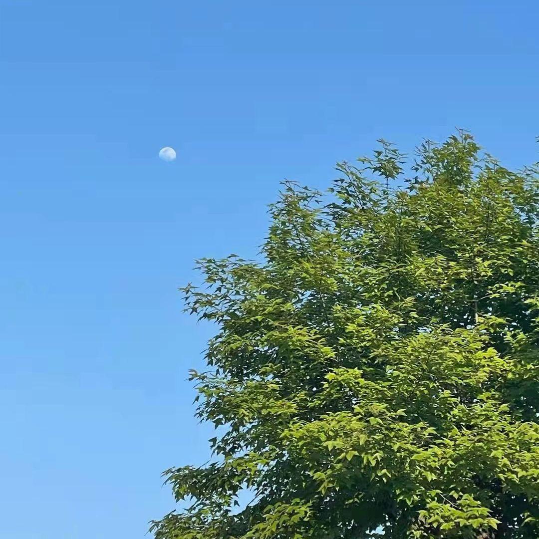 Li敖翻唱专辑